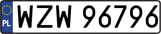 WZW96796