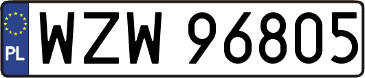 WZW96805
