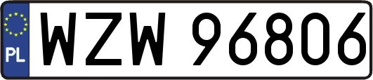 WZW96806