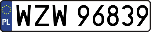 WZW96839