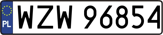 WZW96854