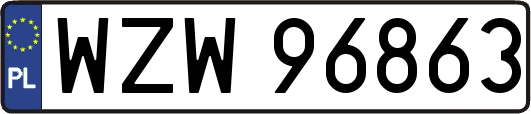 WZW96863