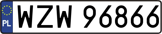 WZW96866