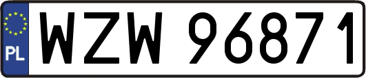 WZW96871