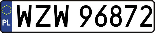 WZW96872