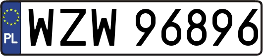WZW96896