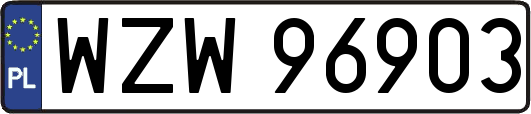 WZW96903