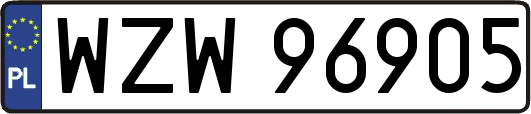 WZW96905