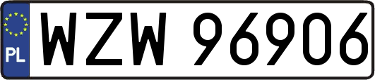 WZW96906