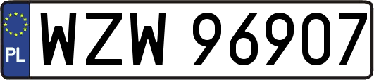 WZW96907