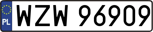 WZW96909