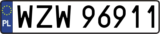 WZW96911