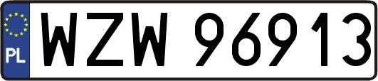 WZW96913