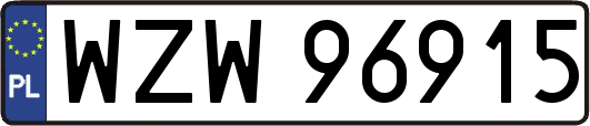 WZW96915