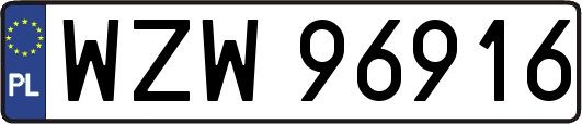 WZW96916