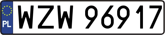 WZW96917