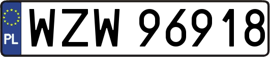 WZW96918