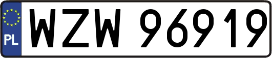 WZW96919
