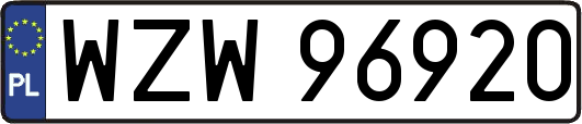 WZW96920
