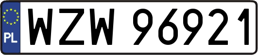 WZW96921