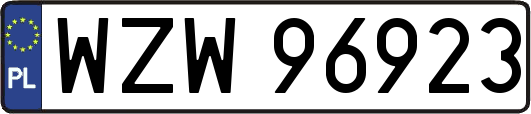 WZW96923