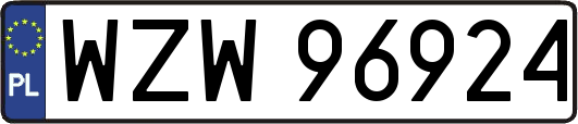 WZW96924