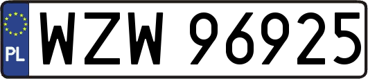 WZW96925