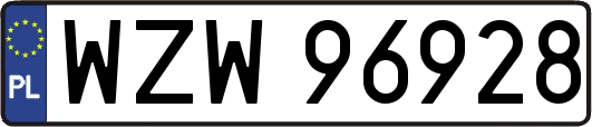 WZW96928