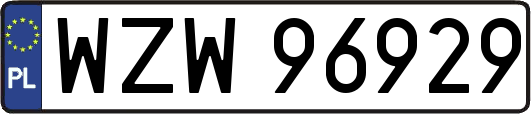 WZW96929