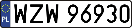 WZW96930