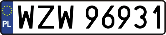 WZW96931