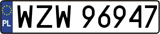 WZW96947