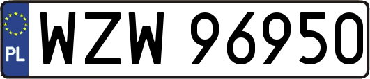WZW96950