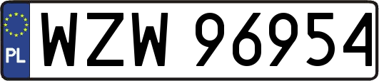 WZW96954
