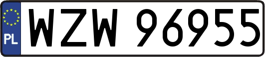 WZW96955