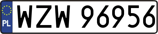 WZW96956