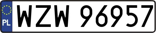WZW96957
