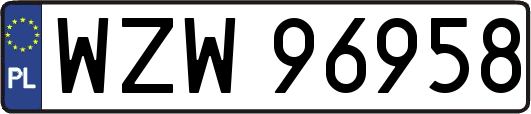 WZW96958
