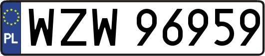 WZW96959