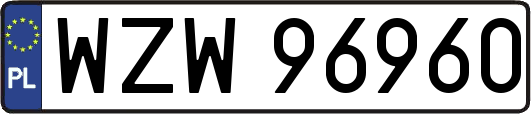 WZW96960