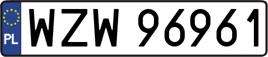 WZW96961