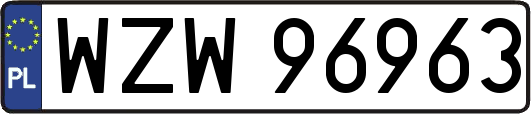 WZW96963