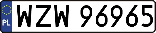 WZW96965