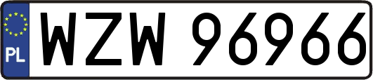 WZW96966