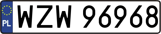 WZW96968