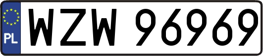WZW96969