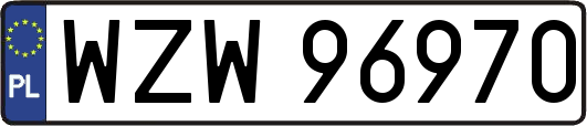 WZW96970