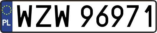 WZW96971