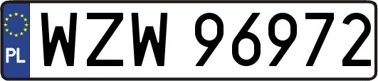 WZW96972