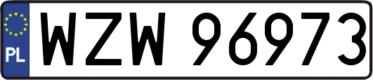 WZW96973